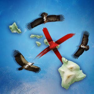 An illustration of a group of vultures circling the island of Maui.