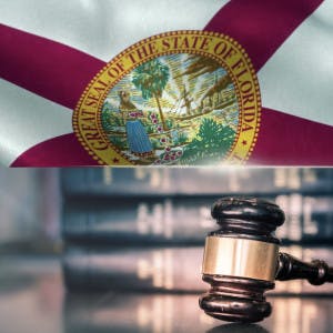 The state flag of Florida and a judge's gavel